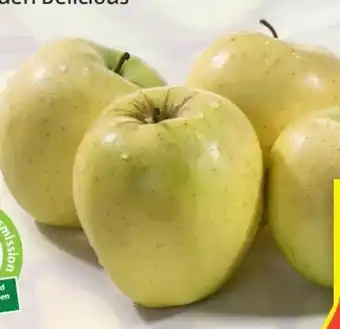 Hofer Äpfel Angebot