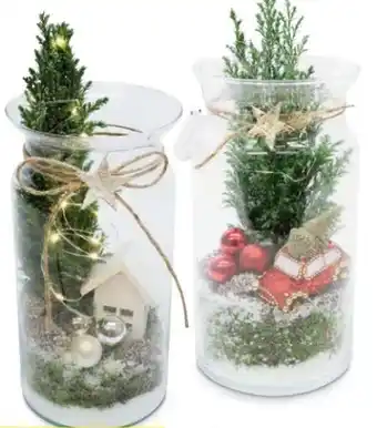 Hofer Glasarrangement weihnachtszauber Angebot