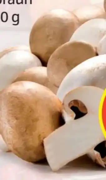 Hofer Champignons Angebot