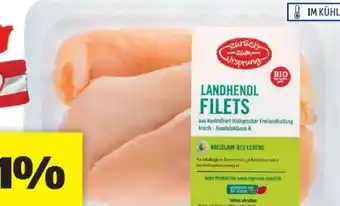 Hofer Bio hühnerfilet Angebot