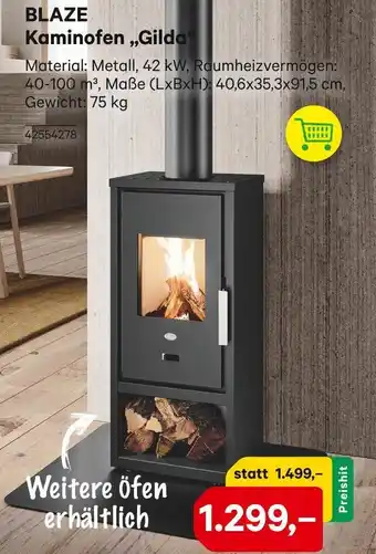BayWa BLAZE Kaminofen ,,Gilda Angebot
