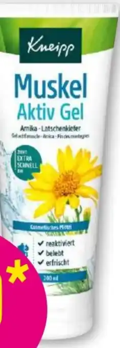 Norma Muskel aktiv gel Angebot