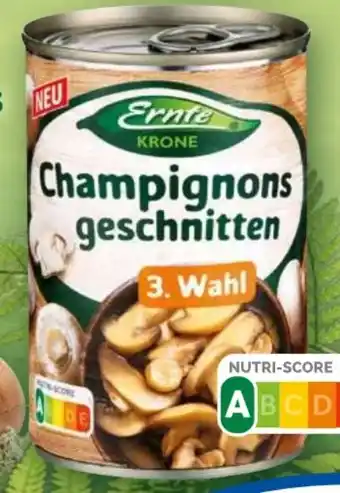 Norma Champignons Angebot