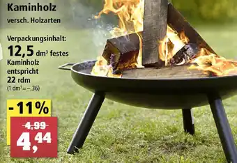 Thomas Philipps Kaminholz Angebot