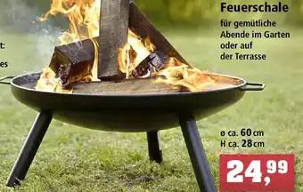 Thomas Philipps Feuerschale Angebot