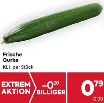 Billa Frische Gurke Angebot