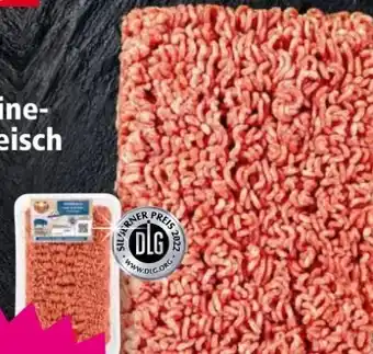 Norma Schweine hackfleisch Angebot