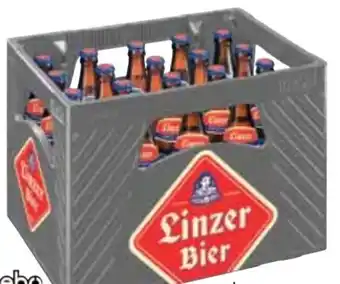 Maximarkt Bier Angebot