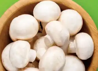 Lidl Champignons Angebot