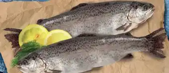 Lidl Forelle Angebot