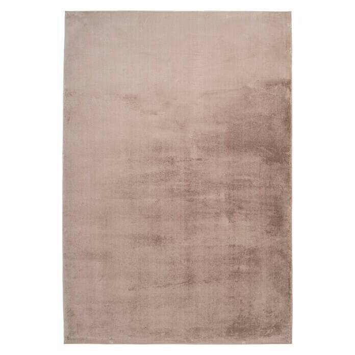 Bauhaus Hochflorteppich paradise (taupe, l x b: 230 x 160 cm, 100 % polyester) Angebot