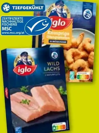 ADEG Wildlachs Angebot