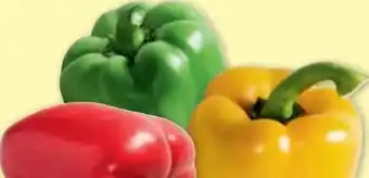 PENNY Paprika mix Angebot