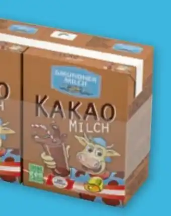 PENNY Kakao milch Angebot