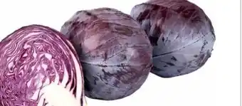 Transgourmet Rotkraut Angebot