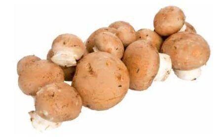 Transgourmet Bio cremechampignon Angebot