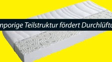 Dänisches Bettenlager Schaumstoffmatratze f300 Angebot