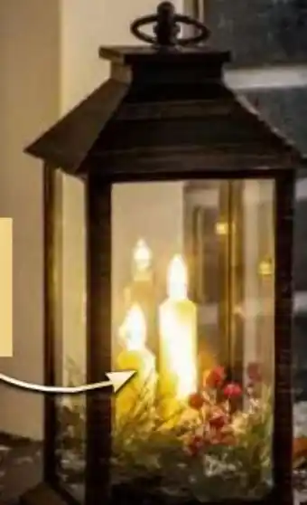 Norma Led-outdoor laterne clara Angebot
