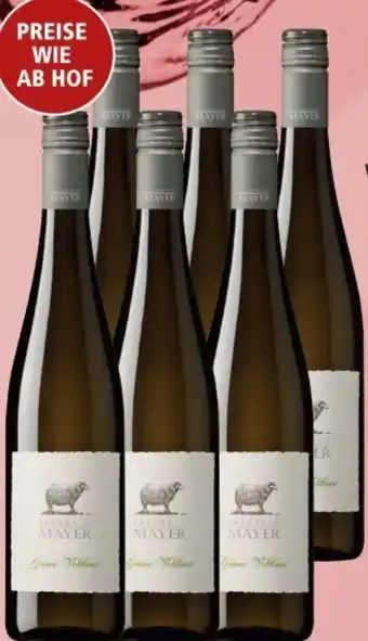 Interspar Grüner veltliner Angebot