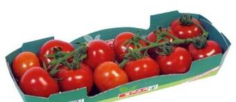 Interspar Midi-rispentomaten Angebot