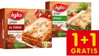 Interspar Lasagne Angebot