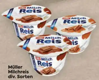 Billa Milchreis Angebot