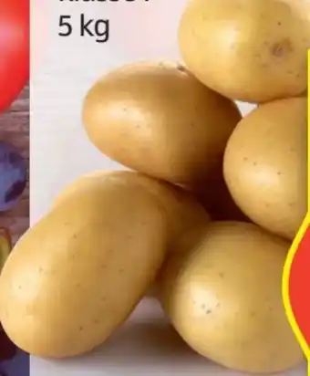 Hofer Kartoffeln Angebot