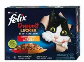 dm Felix Katzenfutter Angebot