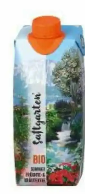 dm Bio Sommer Früchte-Kräutertee Angebot