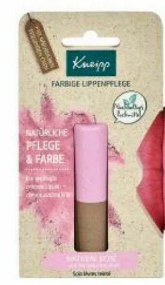 dm Lippenpflege Angebot