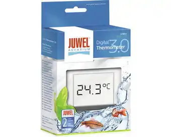 Hornbach Digital thermometer juwel 3.0 Angebot