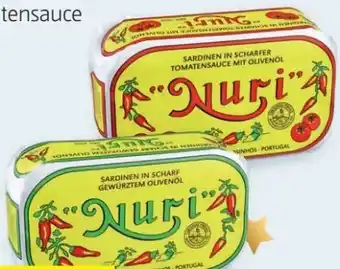 Hofer Sardinen Angebot
