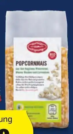 Hofer ZURÜCK ZUM URSPRUNG BIO-POPCORN MAIS 500 g Angebot