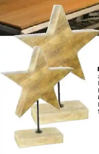 Hellweg Dekostern zum Stellen, natur Angebot