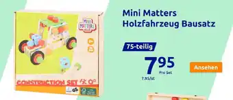 Action Mini Matters Holzfahrzeug Bausatz Angebot