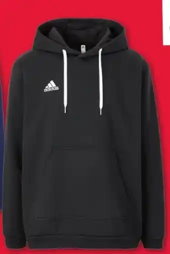 Woolworth Herren hoddie entrada Angebot