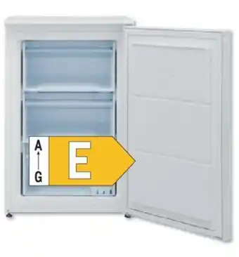 Metro Gefrierschrank 155ZM 112 W 2 Angebot