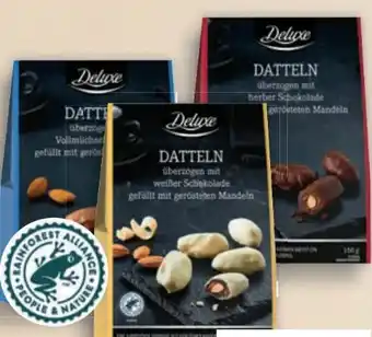 Lidl Datteln Angebot