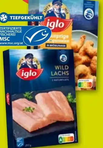 ADEG Wildlachs Angebot