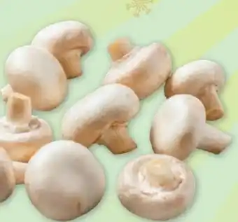 PENNY Champignons Angebot