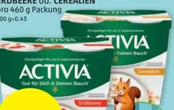 PENNY Activia joghurt Angebot