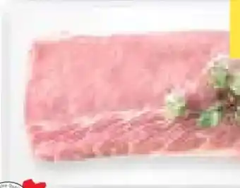 T&G Xl premium karreerose Angebot