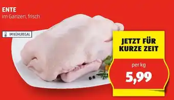 Hofer ENTE per kg Angebot