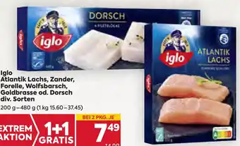 Billa Atlantik Lachs, Zander, Forelle, Wolfsbarsch, Goldbrasse od. Dorsch 200 g - 480 g Angebot