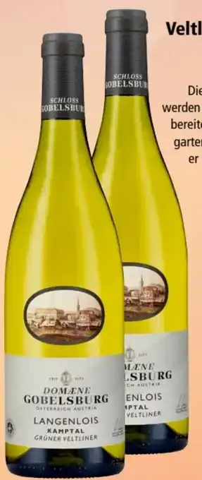 Interspar Grüner veltliner langenlois kamptal Angebot