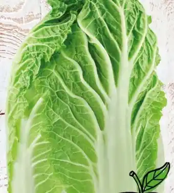 Spar Chinakohl Angebot