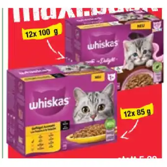 Maximarkt Whiskas katzennahrung versch. sorten maximarkt 12 stück 1 packung Angebot