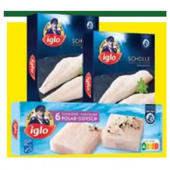Maximarkt Iglo scholle, oder polar-dorsch versch. sorten maximarkt 1 packung Angebot