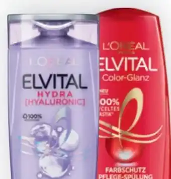 Bipa Elvital shampoo Angebot