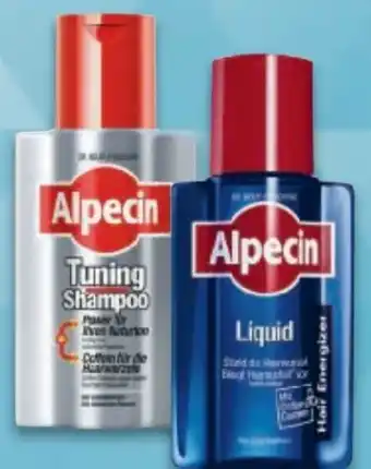 Metro Shampoo tuning Angebot
